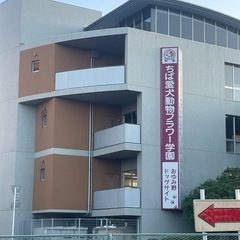 個人保護主さま募集中 − 千葉県