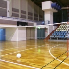 ソフトバレーメンバー募集中