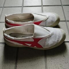 西脇高校体育館シューズの画像