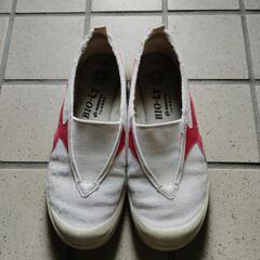 西脇高校体育館シューズの画像