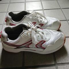 西脇高校体育館シューズの画像