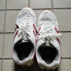 西脇高校体育館シューズの画像