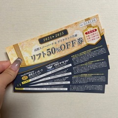 ダイナ高鷲 共通リフト半額券 全日使用可能