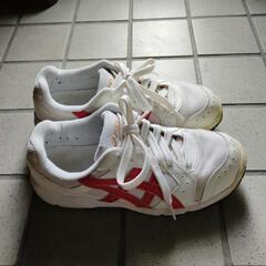 西脇高校グランドスニーカーの画像