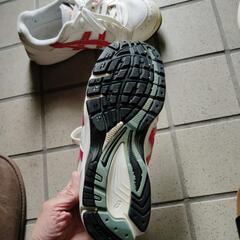 西脇高校グランドスニーカーの画像