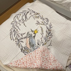 受渡し決定【未使用品】aden+anaisコットンブランケット