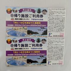 箱根小涌園ユネッサン　無料券　利用券　2枚　下田海中水族館