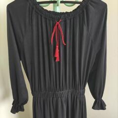 薄手ロベアの画像