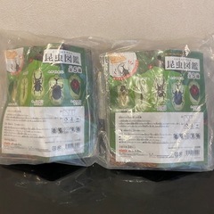 昆虫図鑑ヨーヨー全5種✖️２袋の10個
