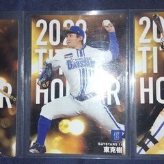 Calbee プロ野球チップスカード 2024 牧秀吾 東克樹 ...