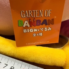 大きなオピラバード‼️の画像
