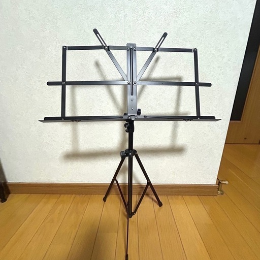 エレキギター 初心者向けセット付き