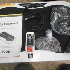 ＩＤ：124645　３Ｄエクサウィング　　Ｒｉｃｃｏｈの画像