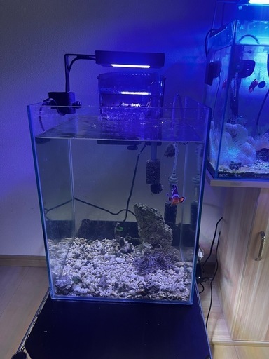 水族館 SUPER SALE【まとめ売り】