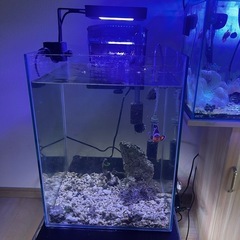 水族館 SUPER SALE【まとめ売り】の画像
