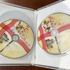 ダメ犬脱出！　藤井聡の犬のしつけ方法　DVDの画像