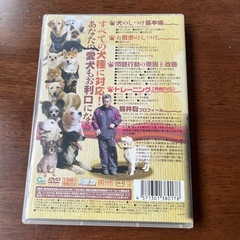 ダメ犬脱出！　藤井聡の犬のしつけ方法　DVDの画像