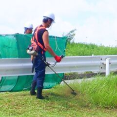 造園業　週３からOK　草むしり、枝切、草刈などの軽作業！の画像
