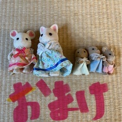綺麗✨はじめてのシルバニアファミリー　の画像