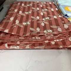 はぎれの画像