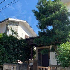 お庭をキレイにしませんか？