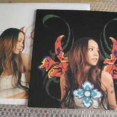希少 安室奈美恵 コンサートツアーパンフレット2003-2004 SO CRAZYの画像