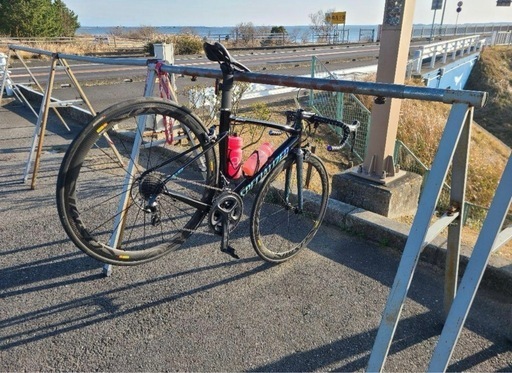 日本16台限定 アレースプリント ALLEZ SPRINT 直接引き取り限定 16台