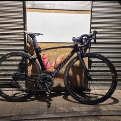 日本16台限定 アレースプリント ALLEZ SPRINTの画像