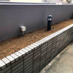 🌱 竹林整備のプロが、草刈り作業をサポートします！ 🌱 - 手伝いたい/助けたい