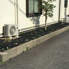 🌱 竹林整備のプロが、草刈り作業をサポートします！ 🌱 - 助け合い