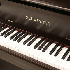 試弾・現物確認大歓迎！ハンドメイド系の名器　シュベスター　木目　国産ピアノの画像