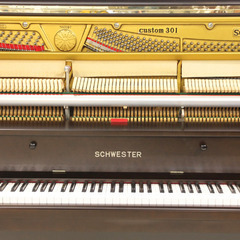 試弾・現物確認大歓迎！ハンドメイド系の名器　シュベスター　木目　国産ピアノの画像