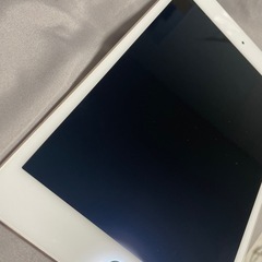 iPadmini4

