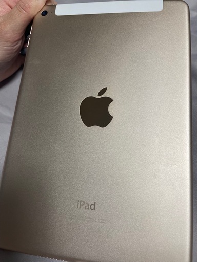 iPadmini4
