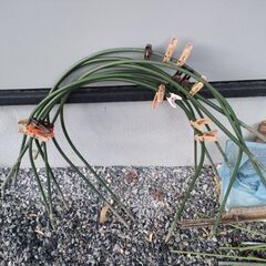 園芸　支柱など色々の画像