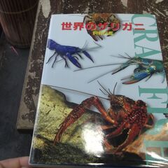 世界のザリガニ飼育図鑑 [tankobon_hardcover]...