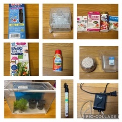 【超お得】金魚・メダカ飼育11点セット（中古・美品）すぐ使えます！の画像