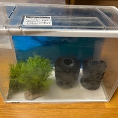 【超お得】金魚・メダカ飼育11点セット（中古・美品）すぐ使えます！の画像