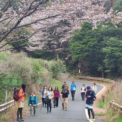 4月13日(日)桜咲く山☆YOGA in 多度山(三重県)