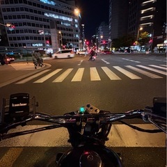 グラストラッカー 250カスタム 中古の画像