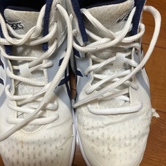 バスケットシューズ2足25cmの画像