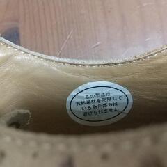 バックスキン　 革靴の画像