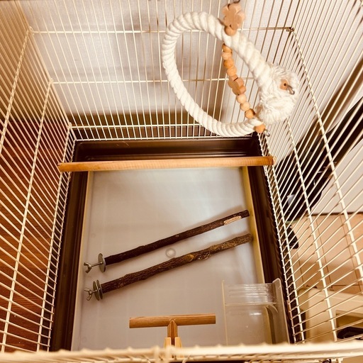 HOEI手乗り☆鳥かご☆おまけ付き