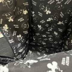 ディズニーのキャリーの画像