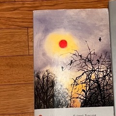 洋書　Rachel Carson 『Silent Spring』