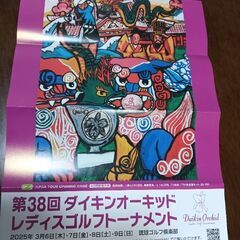 ダイキンオーキッドレディースゴルフトーナメント　チケット2枚の画像