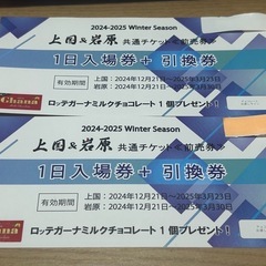 上越国際スキー場、岩原スキー場　リフト券
