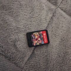 Switchソフトのみ