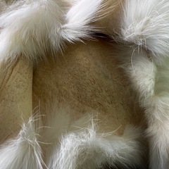 【GO-596】 ホワイトフォックス ショール ファー マフラー 顔 手足の画像