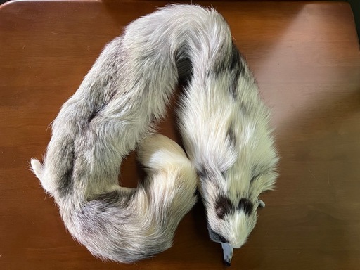 【GO-597】 フォックス ショール ファー マフラー 顔 手足